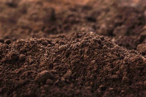 what is loam soil in tagalog|Loamy Soil in Tagalog.